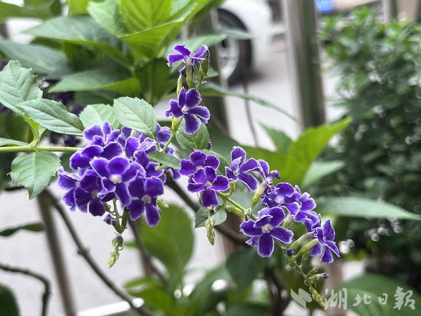 澳门新葡萄游戏